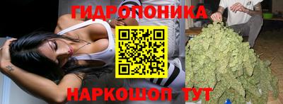 дмт Апшеронск