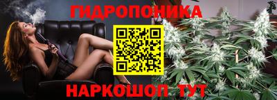 хмурый Гатчина