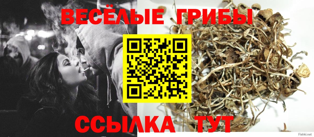 Галлюциногенные грибы Magic Shrooms Белогорск