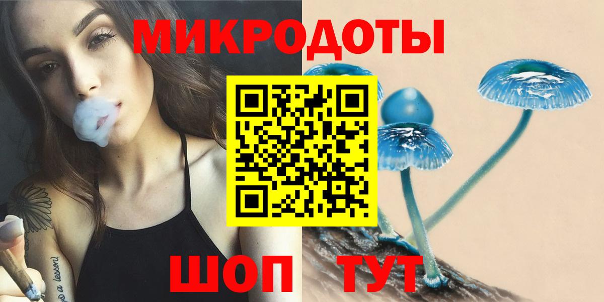 как найти   Псилоцибиновые грибы GOLDEN TEACHER  Галлюциногенные грибы прущие грибы  Вход с VPN  Белогорск 